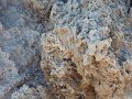 roche stromatolite fossile